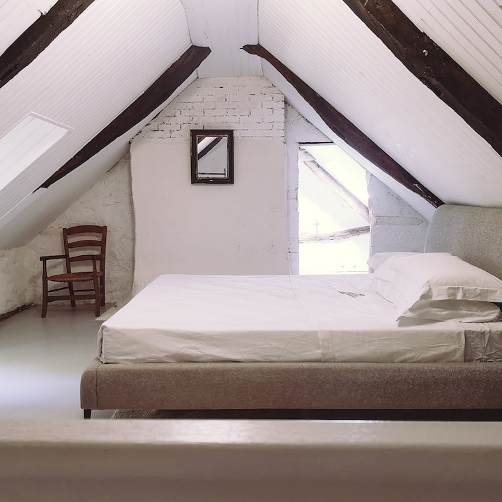 Kutoka kwenye chumba cha kuchora kuna ngazi inayoelekea kwenye chumba kikubwa cha kulala cha attic na chumba cha ofisi kilicho karibu. Chumba hiki hakina mlango kutoka kwenye ngazi.