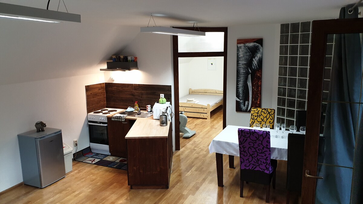 A spacious kitchen area features a full-sized stove, a wooden island, and a refrigerator. A dining table with five chairs is positioned nearby. An adjacent room is visible, showcasing a bed frame, while artwork of an elephant decorates the wall.