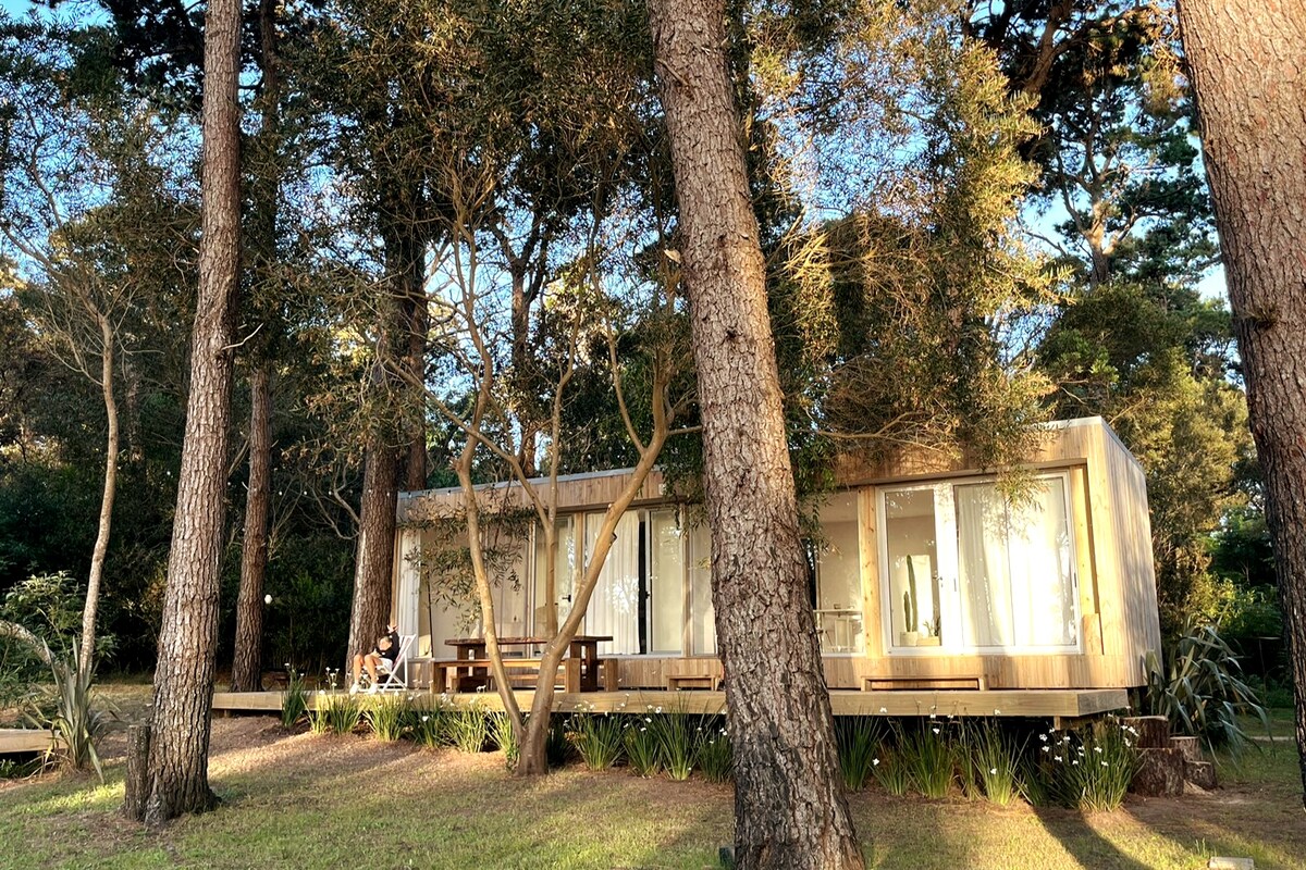 A modern house is set amid tall trees, with large glass doors opening to a grassy area. The structure features a wooden exterior that blends with the natural surroundings, creating a peaceful retreat. A small deck and outdoor seating are visible, enhancing the connection to nature.