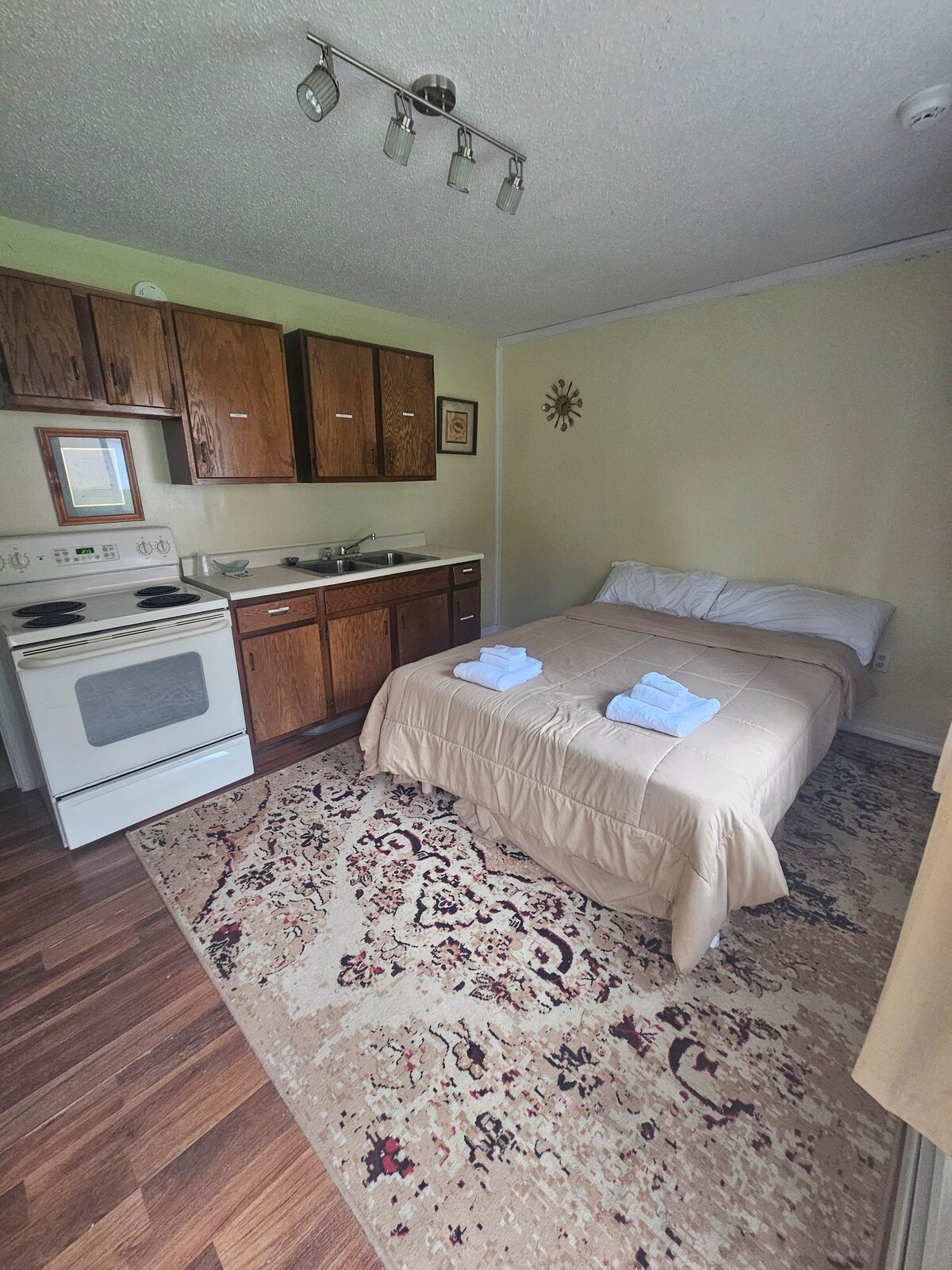 A compact living space is furnished with a spacious bed covered in a light quilt. A cooking area features wooden cabinets and a stove. Soft lighting is provided by track lights on the ceiling, and a decorative area rug complements the flooring.