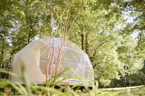 The Japandi Dome