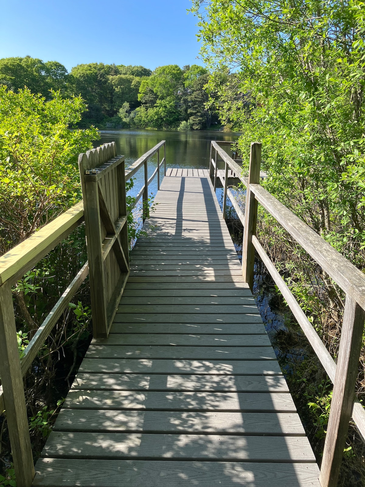 A wooden dock extends over calm waters, surrounded by lush greenery. On either side, dense shrubs frame the walkway, leading to a serene pond. Sunlight filters through the trees, creating a peaceful atmosphere for reflection and relaxation.