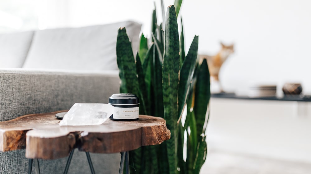 Scout Austin: Bohemian Farmhouse