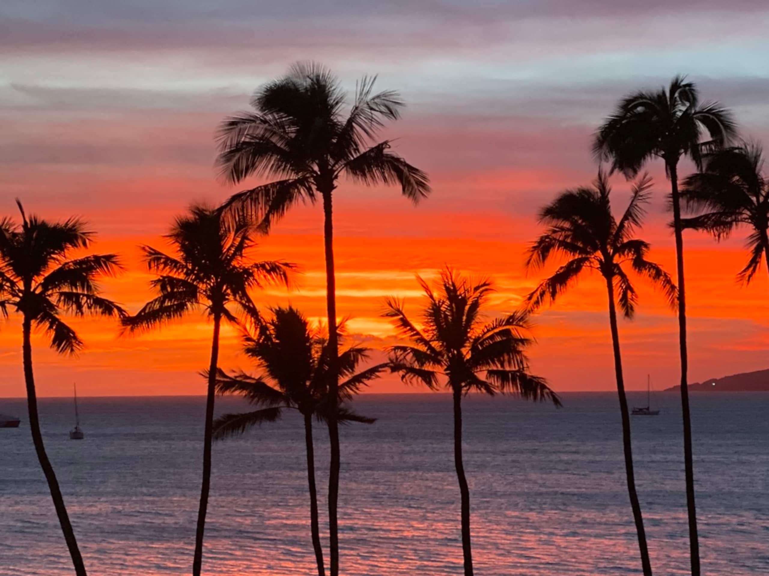 Condo in Kihei · ★4.67 · 1 bedroom · 2 beds · 1 bath - Image 42