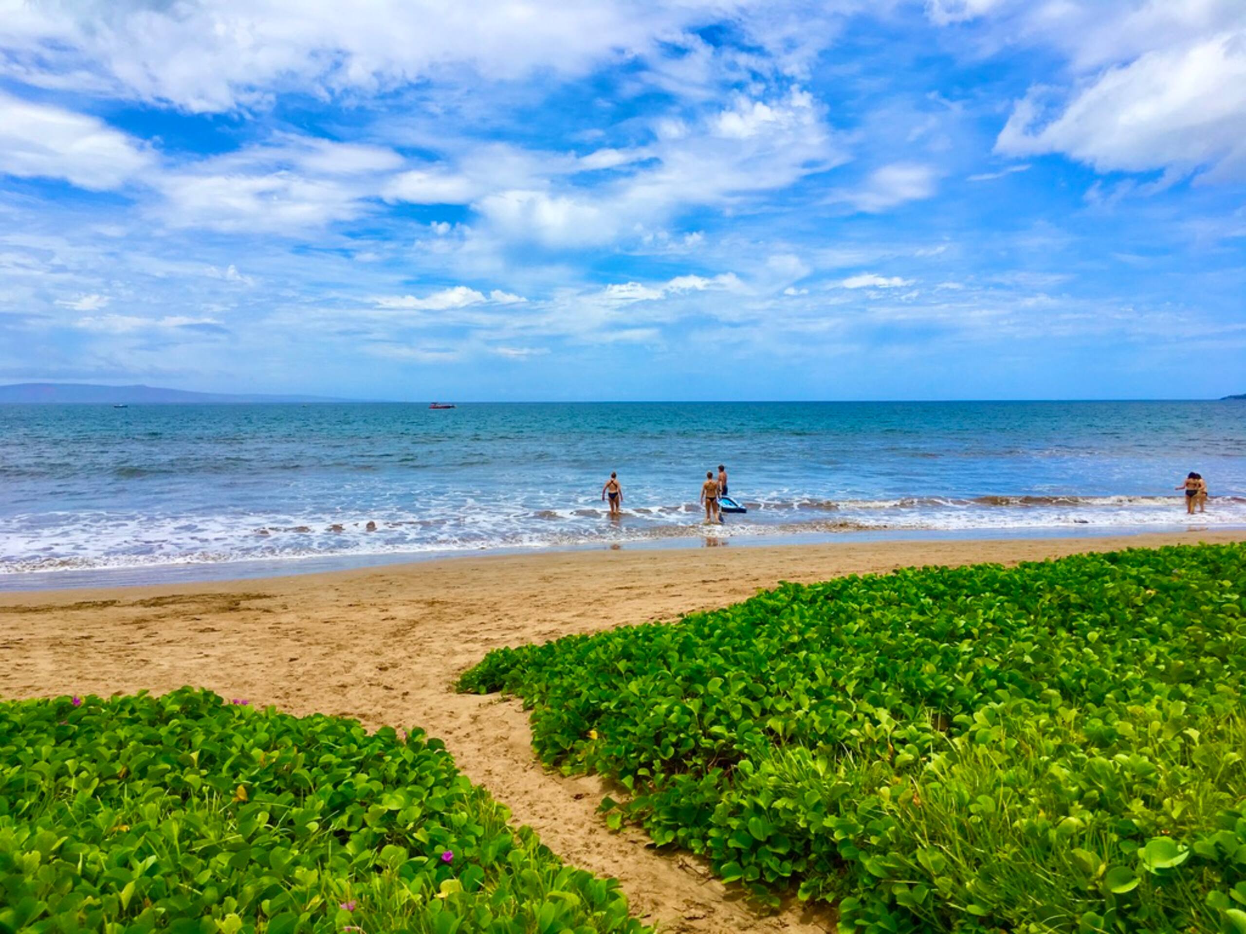 Condo in Kihei · ★4.67 · 1 bedroom · 2 beds · 1 bath - Image 37