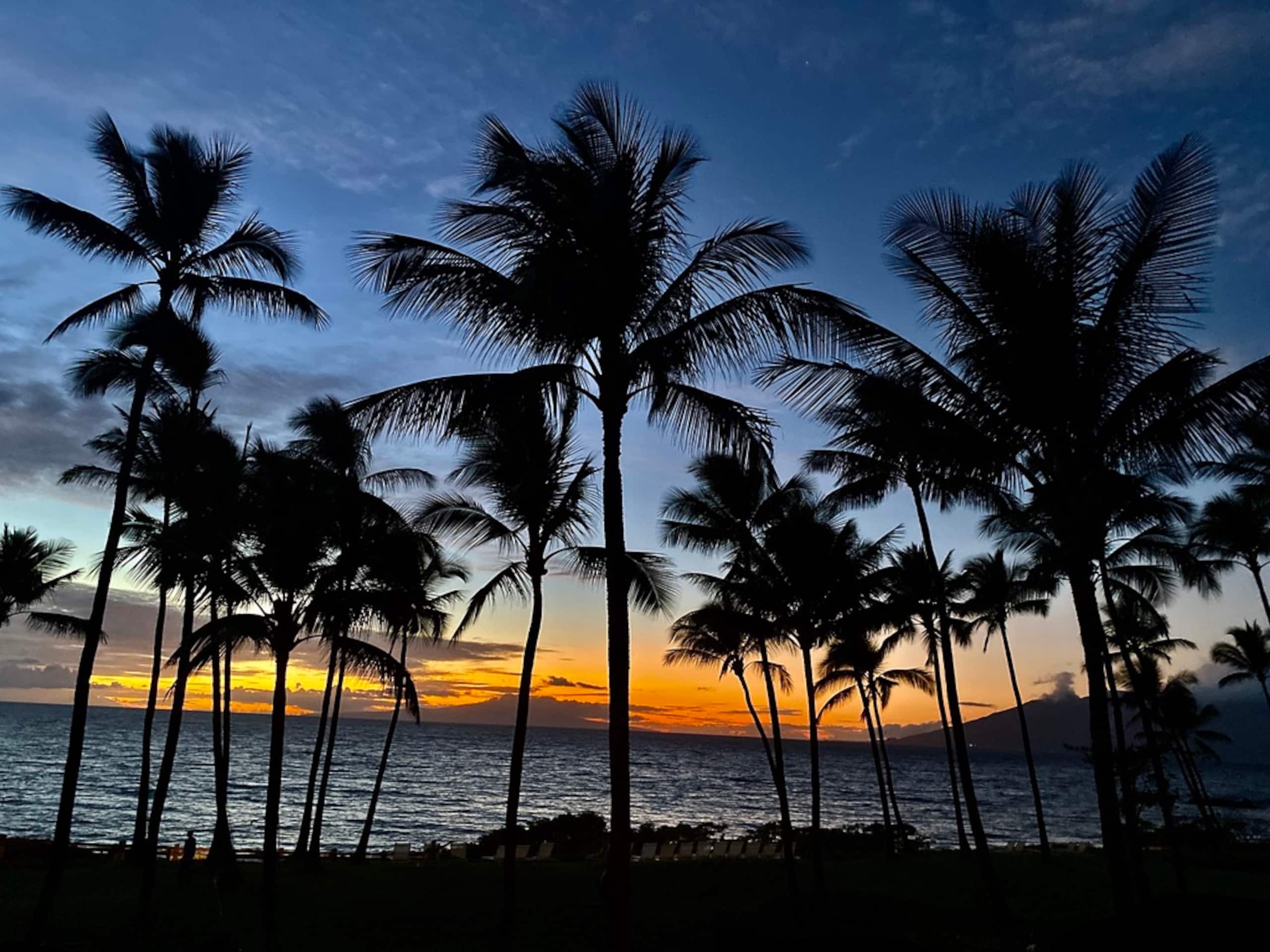 Condo in Kihei · ★4.67 · 1 bedroom · 2 beds · 1 bath - Image 36