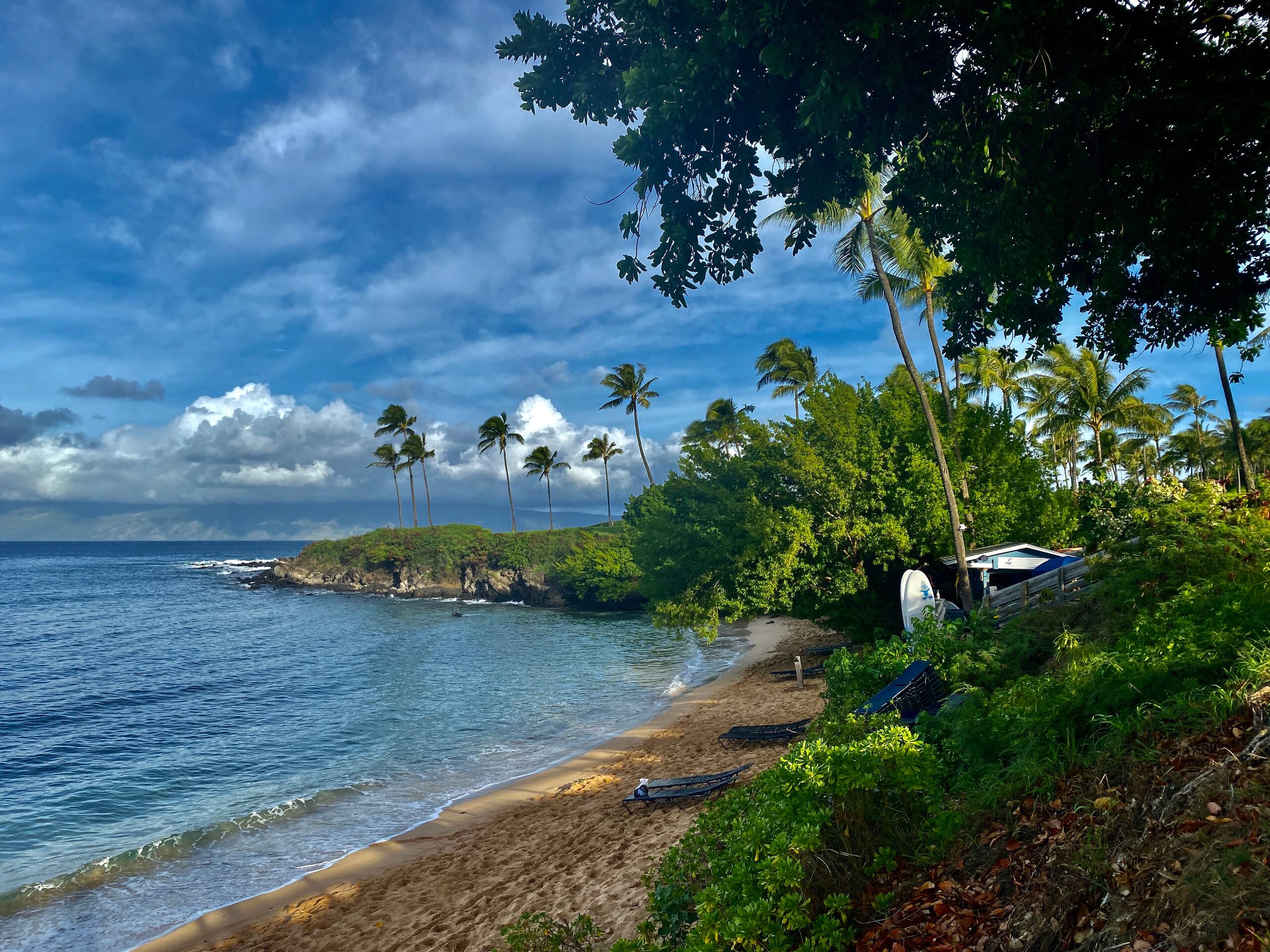 Condo in Kihei · ★4.67 · 1 bedroom · 2 beds · 1 bath - Image 26