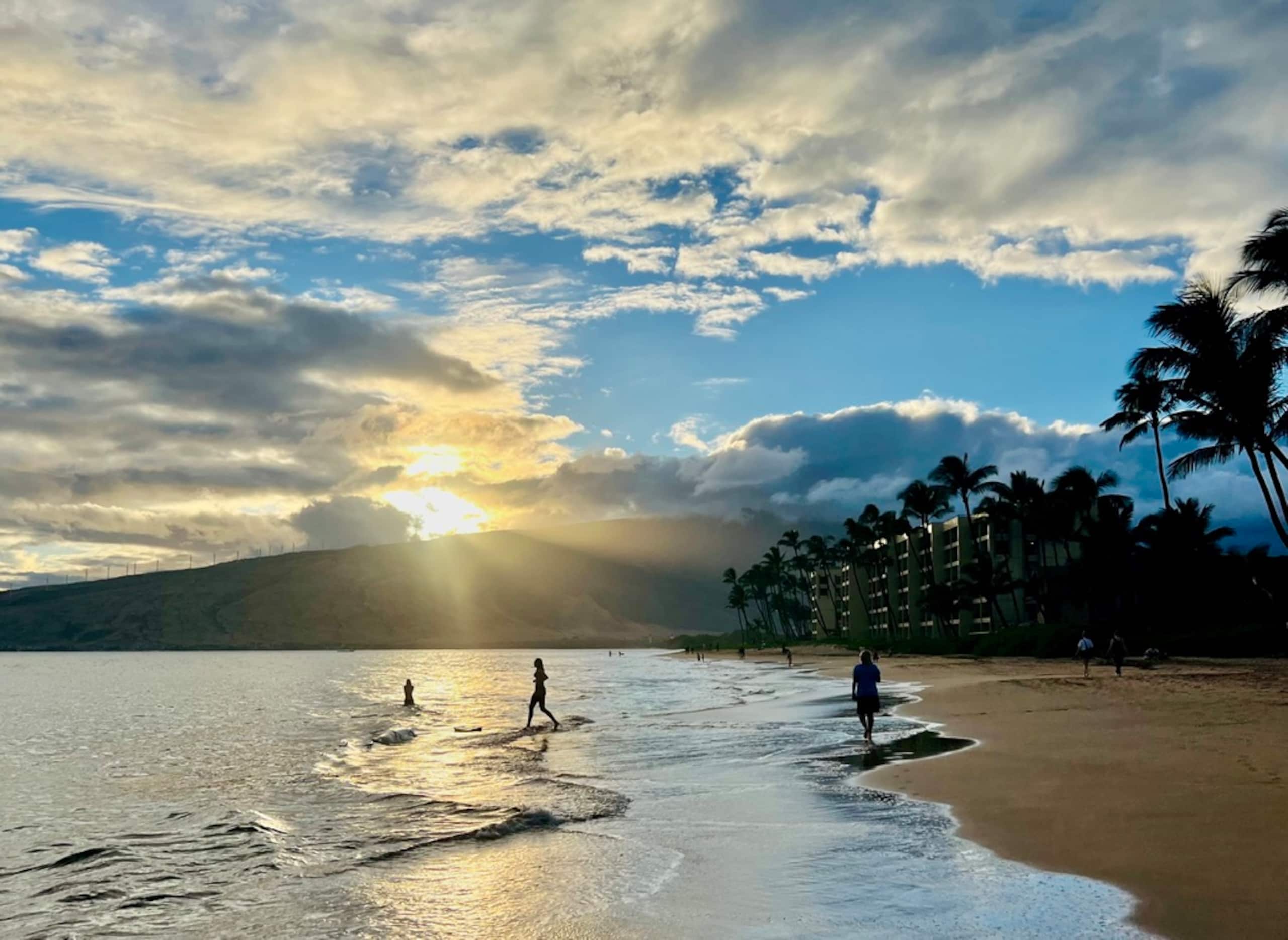 Condo in Kihei · ★4.67 · 1 bedroom · 2 beds · 1 bath - Image 33