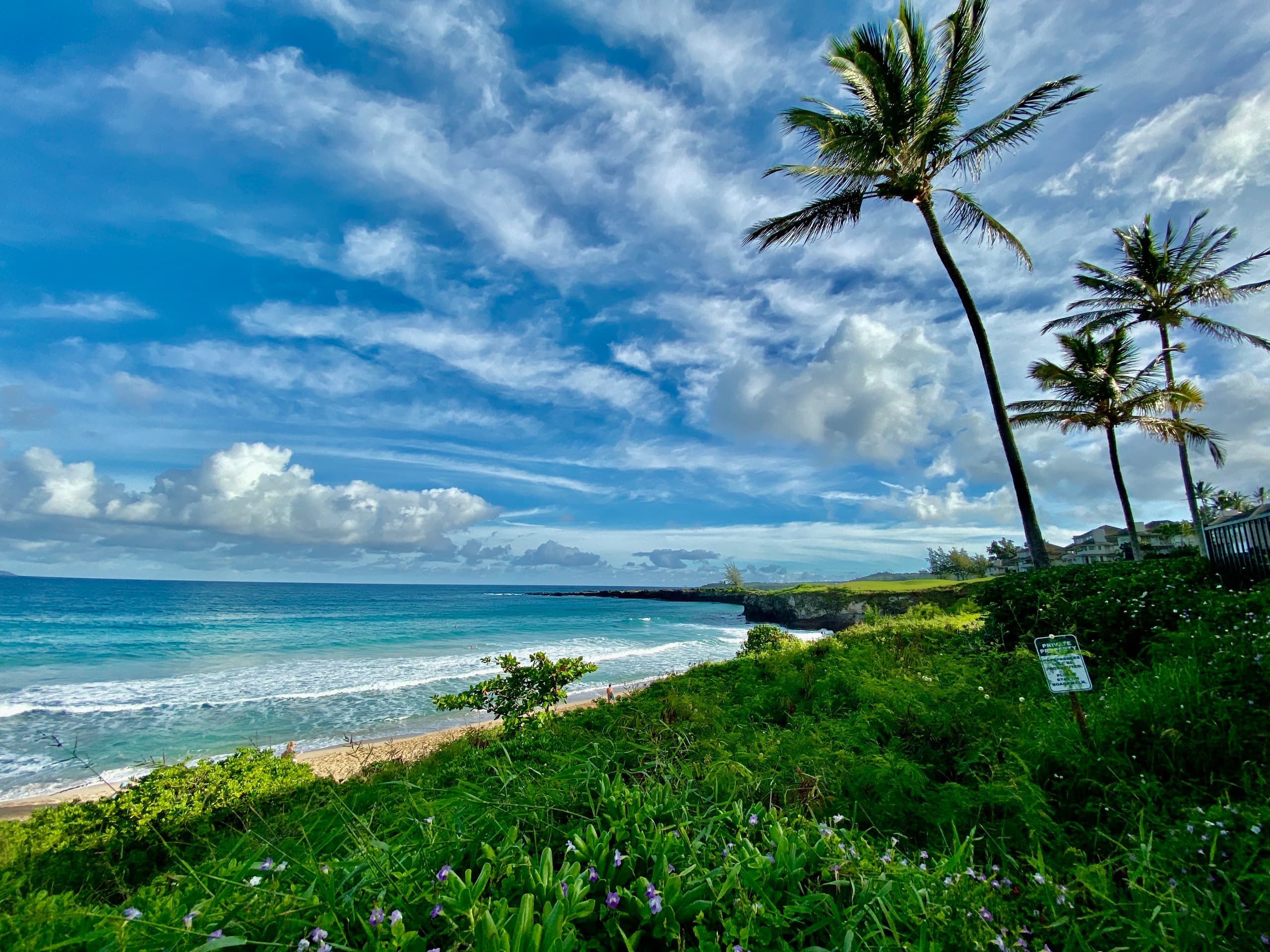 Condo in Kihei · ★4.67 · 1 bedroom · 2 beds · 1 bath - Image 27