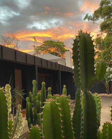 Luxury Contemporary Beachside House