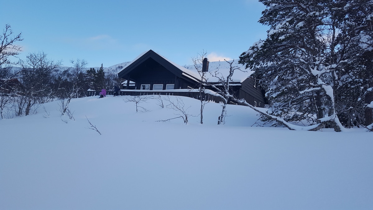 A serene winter landscape is depicted, with a black cabin partially visible among snow-covered hills. Surrounding trees feature a light dusting of snow, and a clear blue sky enhances the tranquil atmosphere of the area.