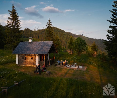 Waldhütte KOSAK | Secluded location on the Alm