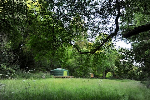 Redwood Valley whole site