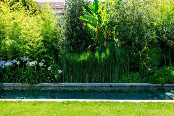 Maison hangar à Bordeaux gallery image 4