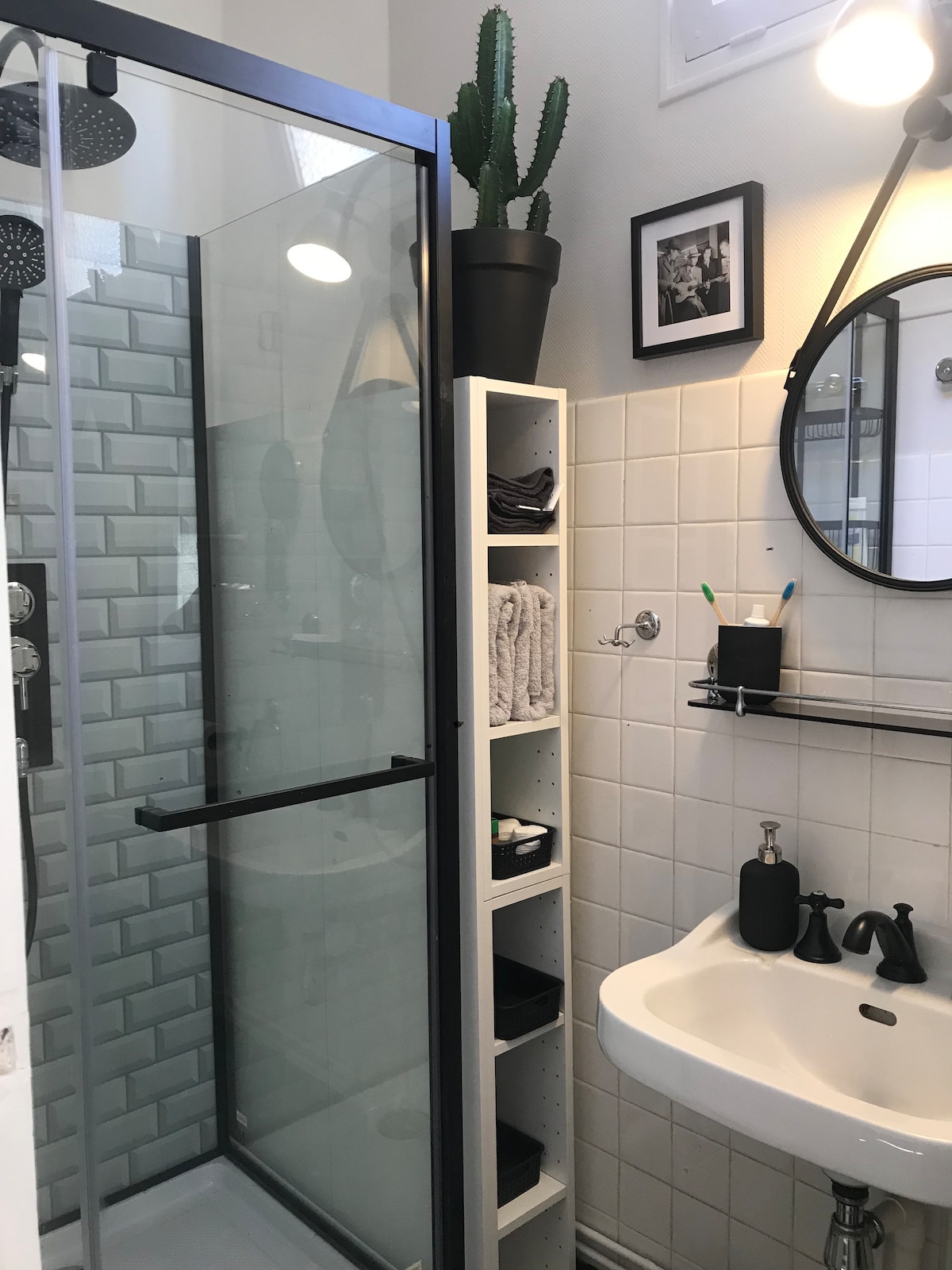 The bathroom features a glass-enclosed shower with dual shower heads and a sleek design. A round mirror above a small sink is complemented by a wall-mounted shelf holding toiletries. Additional storage is provided by a white unit with neatly organized towels, accentuated by a decorative plant.