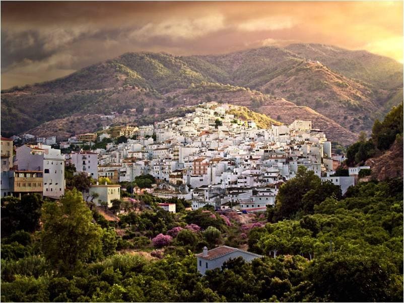 A panoramic view showcases the charming village of Tolox, characterized by whitewashed buildings nestled on a hillside. Surrounding mountains create a stunning backdrop, while lush greenery and blooming flowers enhance the landscape, illustrating the natural beauty of the Sierra las Nieves National Park.