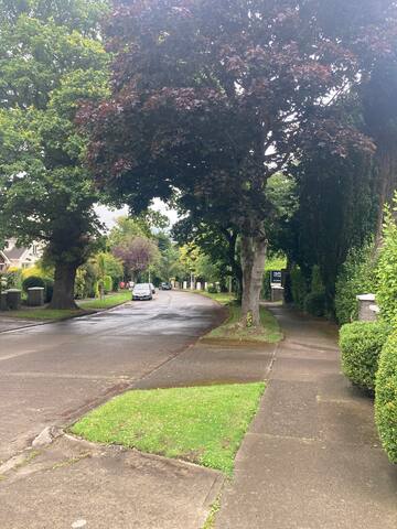 Recently renovated family home gallery image 4