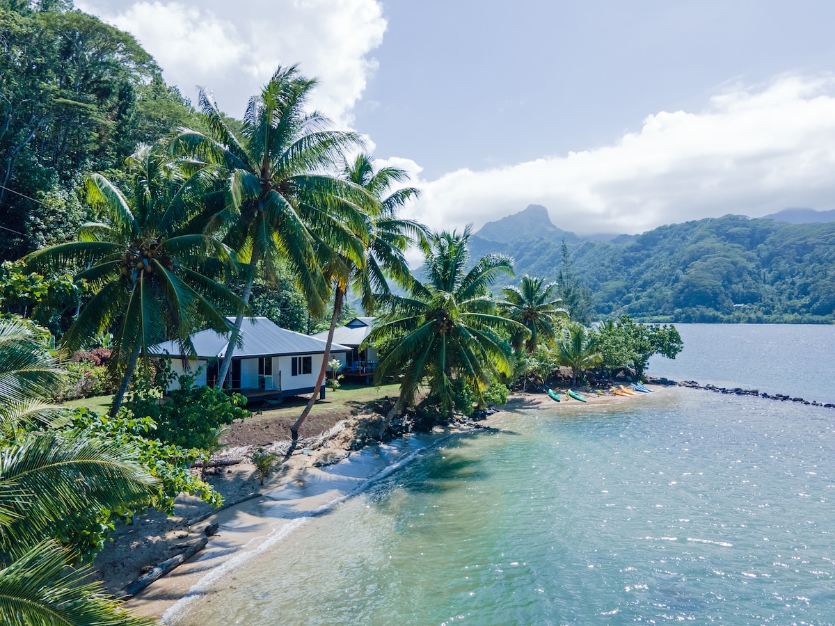 A serene coastal view is presented, featuring a house nestled among tall palm trees by the water. Gentle waves lap against the sandy shore, while lush greenery extends to the backdrop of majestic mountains under a partly cloudy sky.