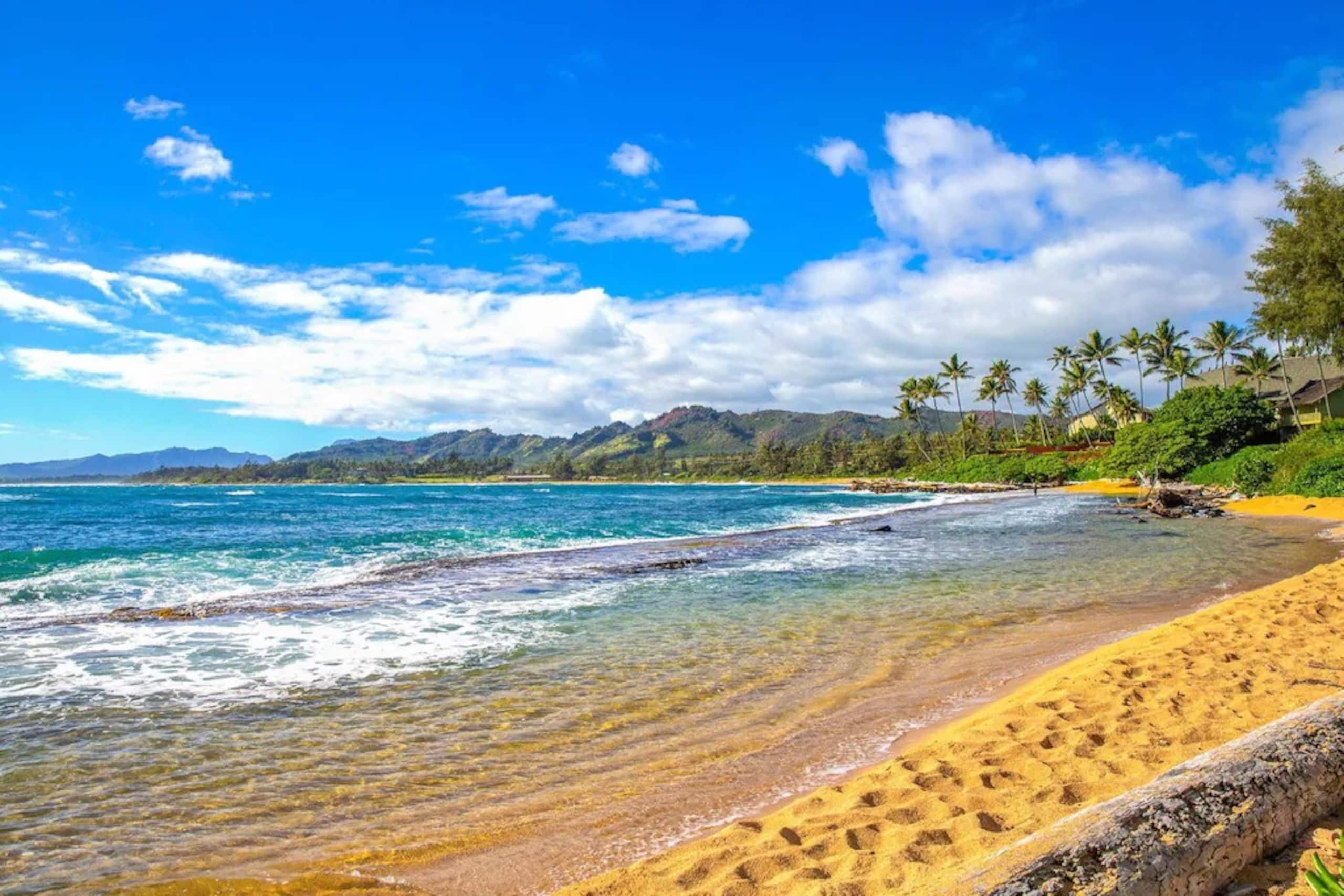 Condo in Kapaa · ★5.0 · 1 bedroom · 2 beds · 1.5 baths - Image 31