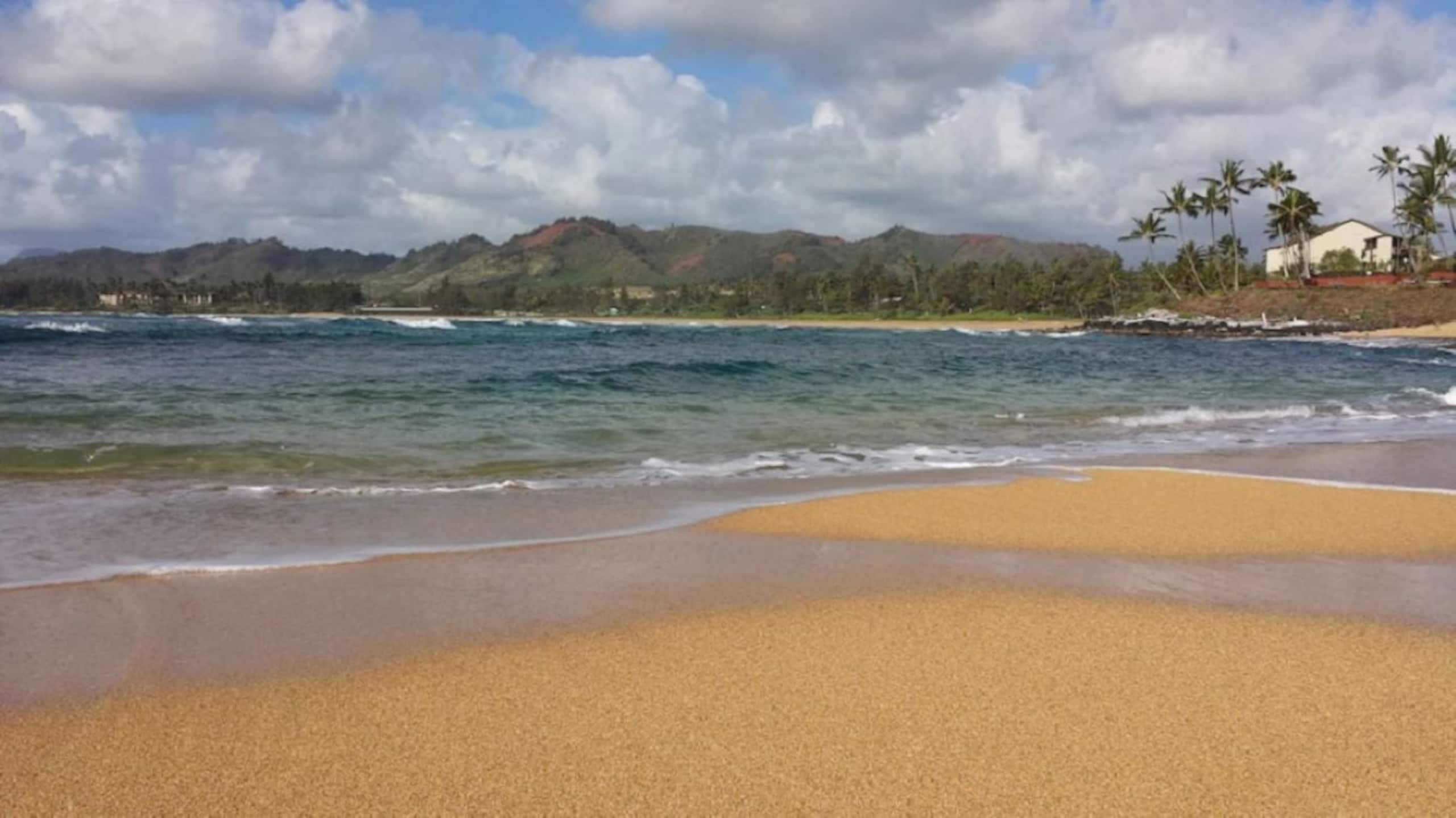 Condo in Kapaa · ★5.0 · 1 bedroom · 2 beds · 1.5 baths - Image 32