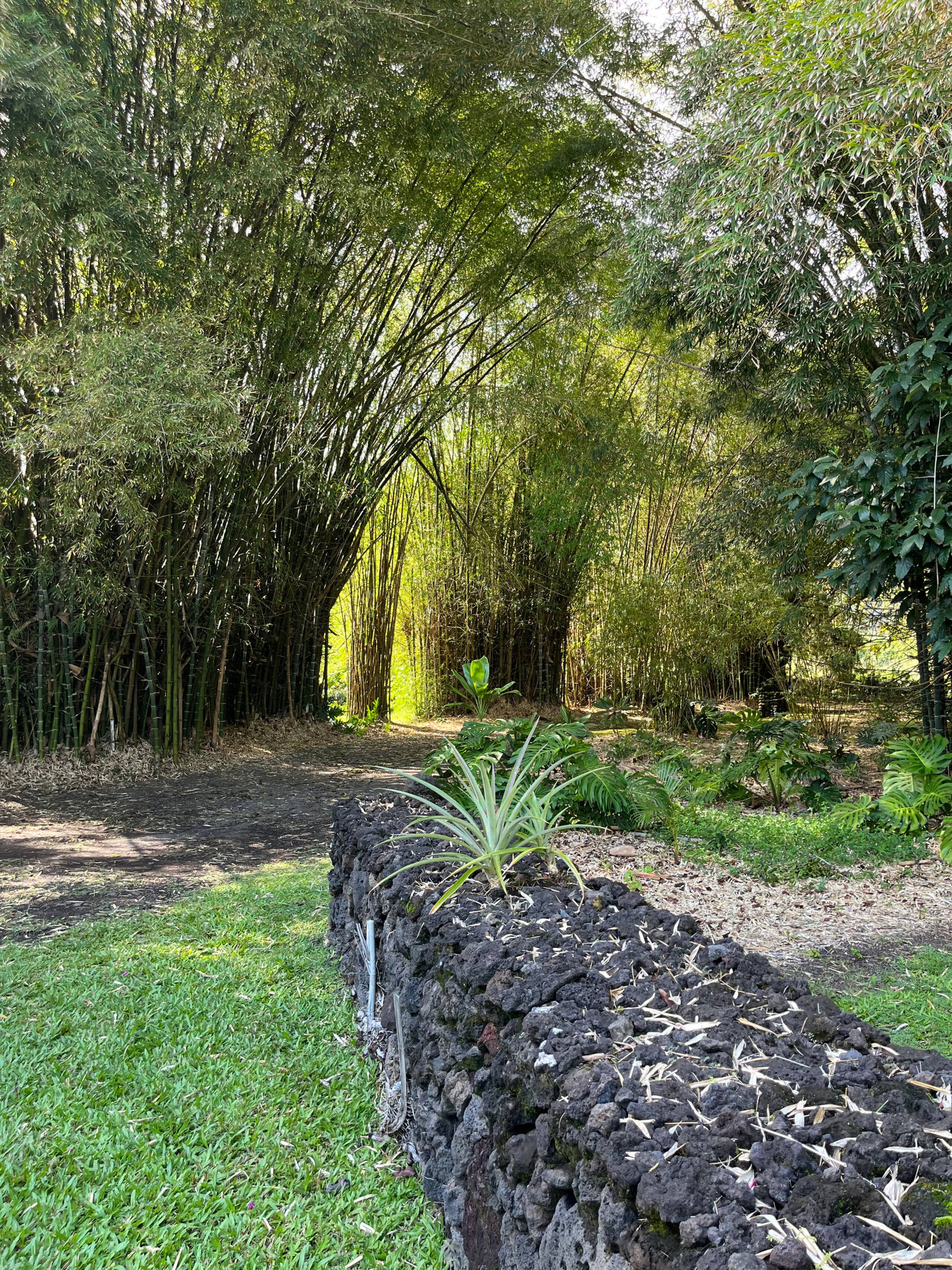 Home in Hana · ★4.98 · 2 bedrooms · 3 beds · 1.5 baths - Photo 46