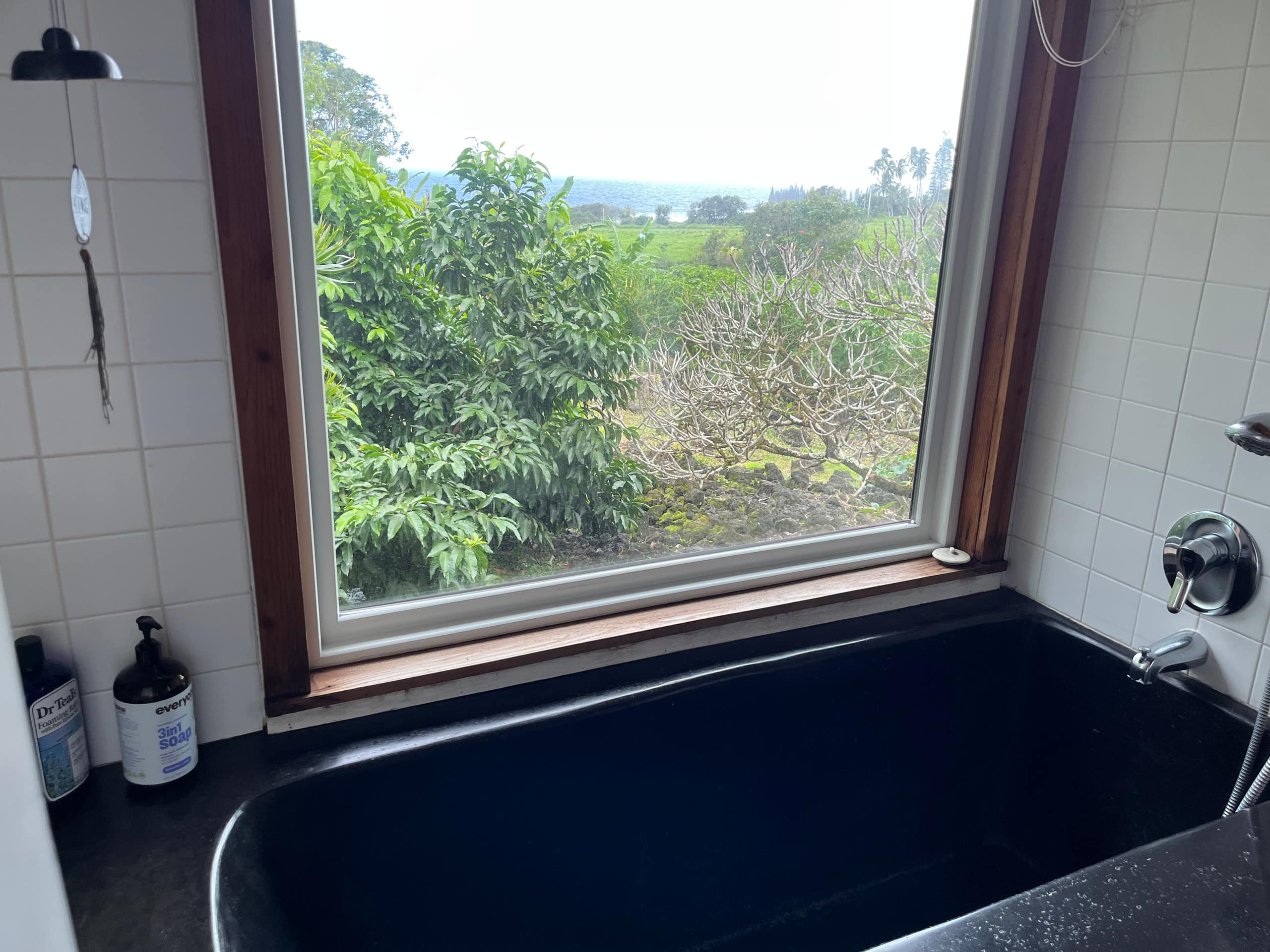 Home in Hana · ★4.98 · 2 bedrooms · 3 beds · 1.5 baths - Photo 25