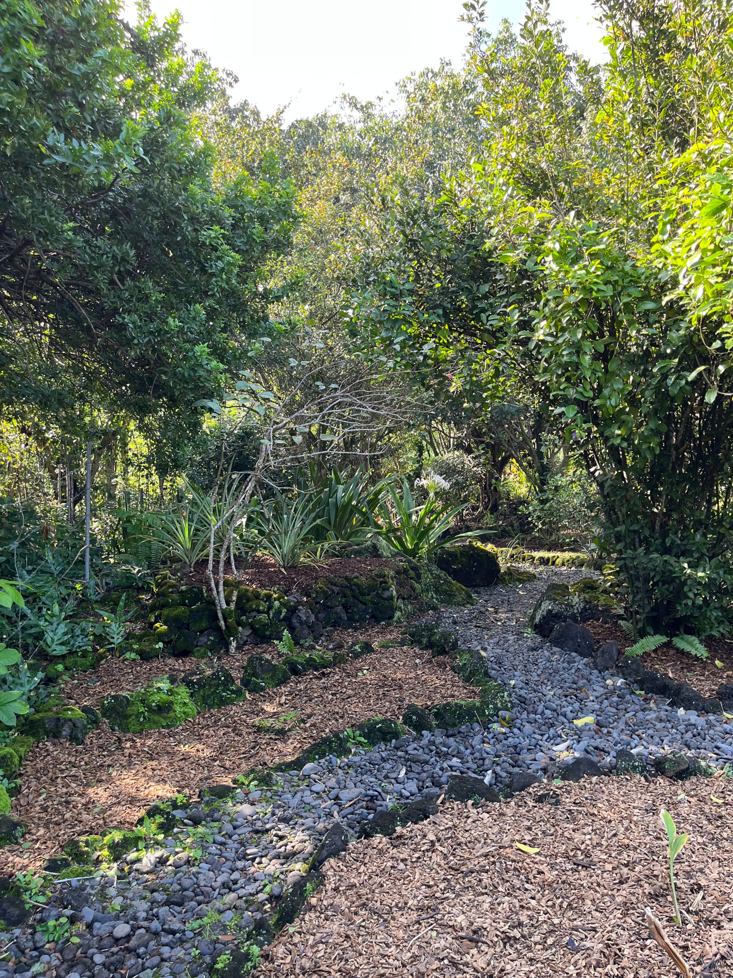 Home in Hana · ★4.98 · 2 bedrooms · 3 beds · 1.5 baths - Photo 47