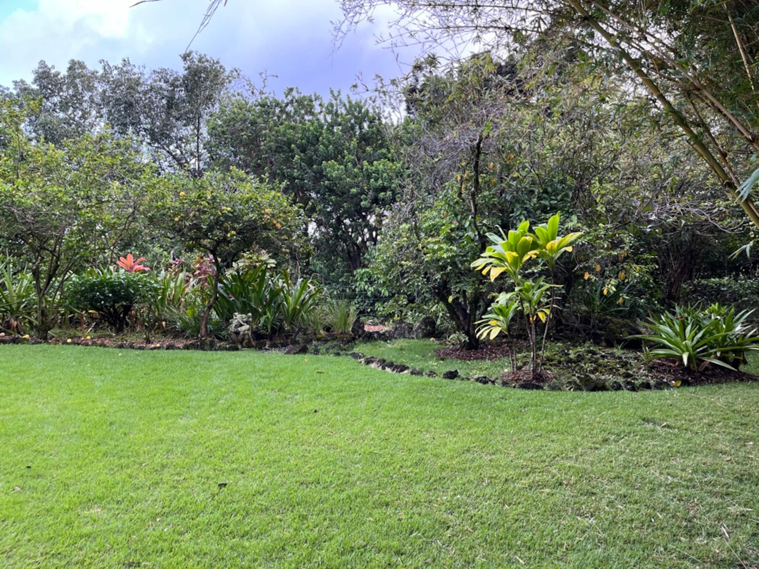 Home in Hana · ★4.98 · 2 bedrooms · 3 beds · 1.5 baths - Photo 40