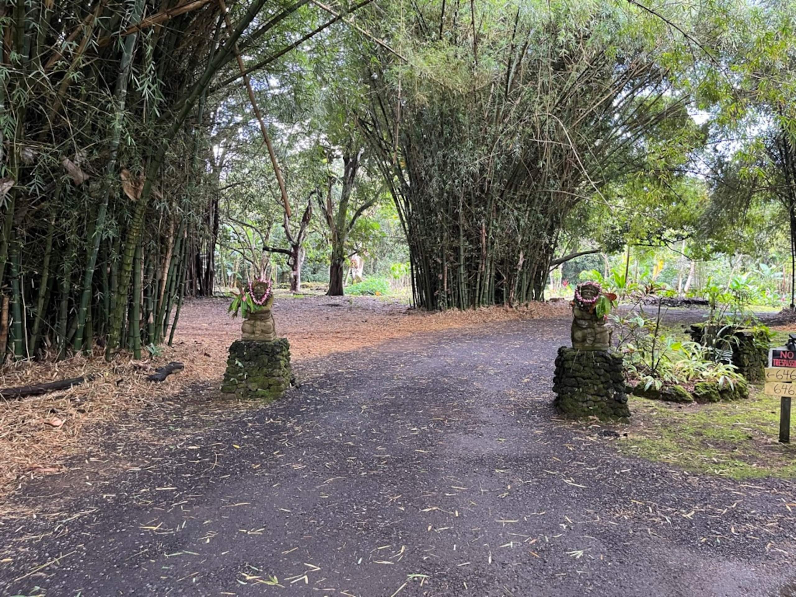 Home in Hana · ★4.98 · 2 bedrooms · 3 beds · 1.5 baths - Photo 39