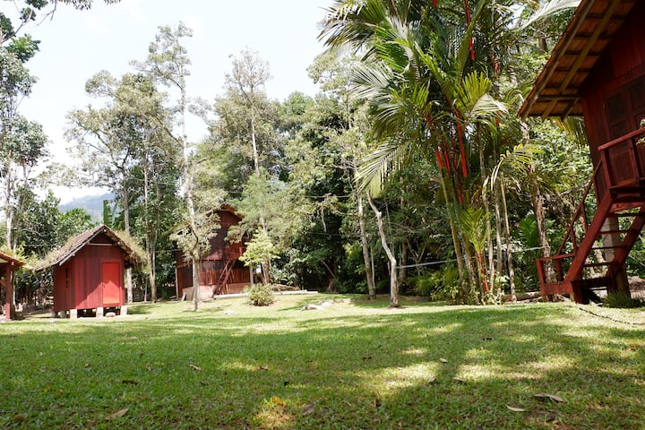 Campsite Campground @ Jungle Zen - ベントン