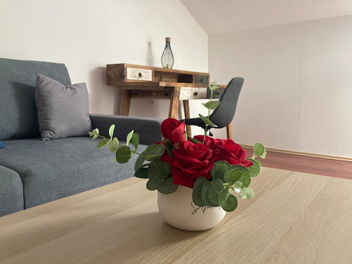 Apartmentd&d - Rijeka City Center - Rijeka