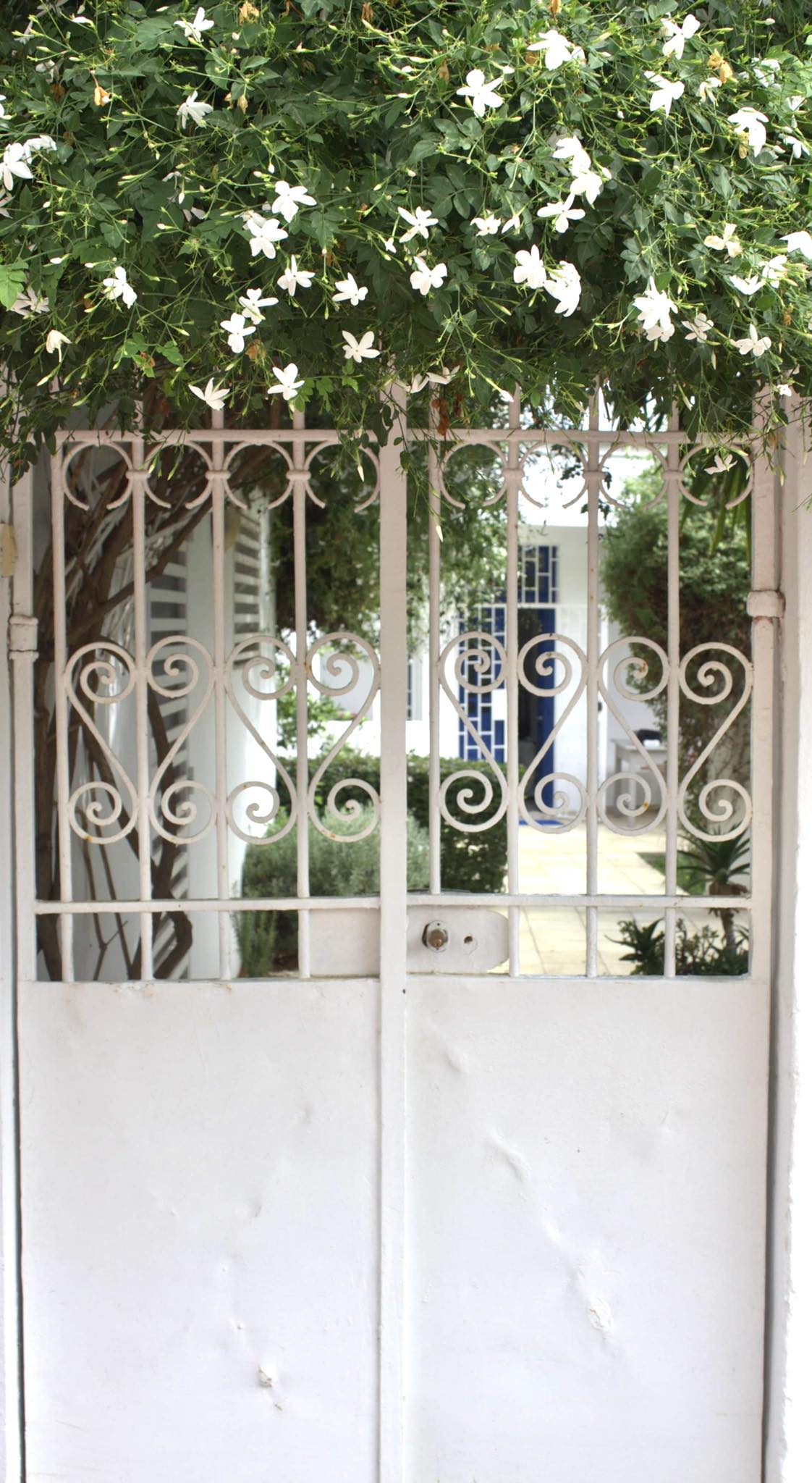 A decorative white gate, framed by lush greenery, allows glimpses of the serene garden beyond. Jasmine flowers bloom profusely above the gate, creating a welcoming entrance to the property. The gate features intricate metalwork, enhancing the charming entrance's visual appeal.