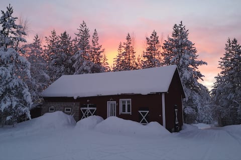 Top performing Airbnb: Small apartment in Lapland in Norrbottens