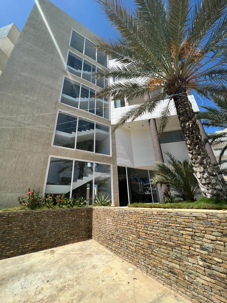 A modern building is presented with large glass windows, allowing natural light to fill the interior. Palm trees and native plants surround the entrance, offering a tropical feel. The stone-walled area provides a welcoming approach to the property.