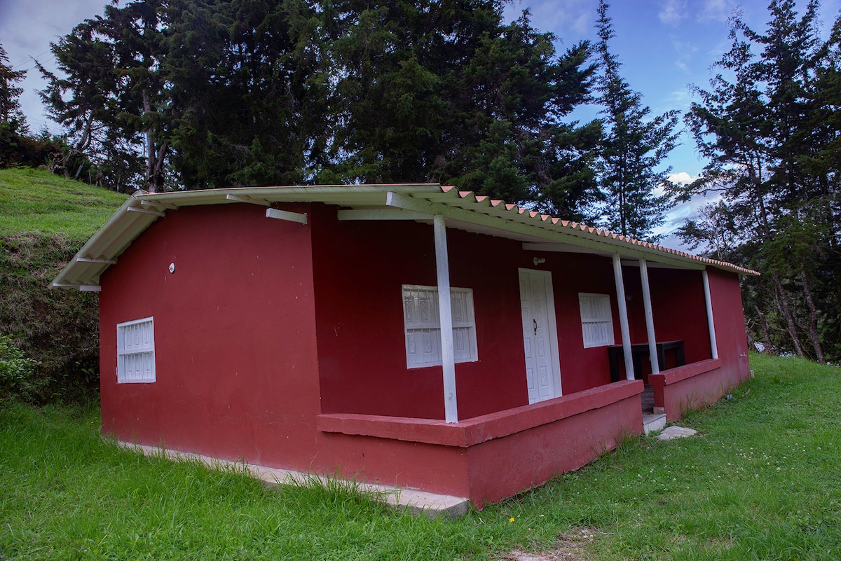 The exterior of a charming red cottage is surrounded by lush green grass and trees. The single-story structure features a sloped roof and multiple white windows, contributing to its inviting presence in a serene natural setting.