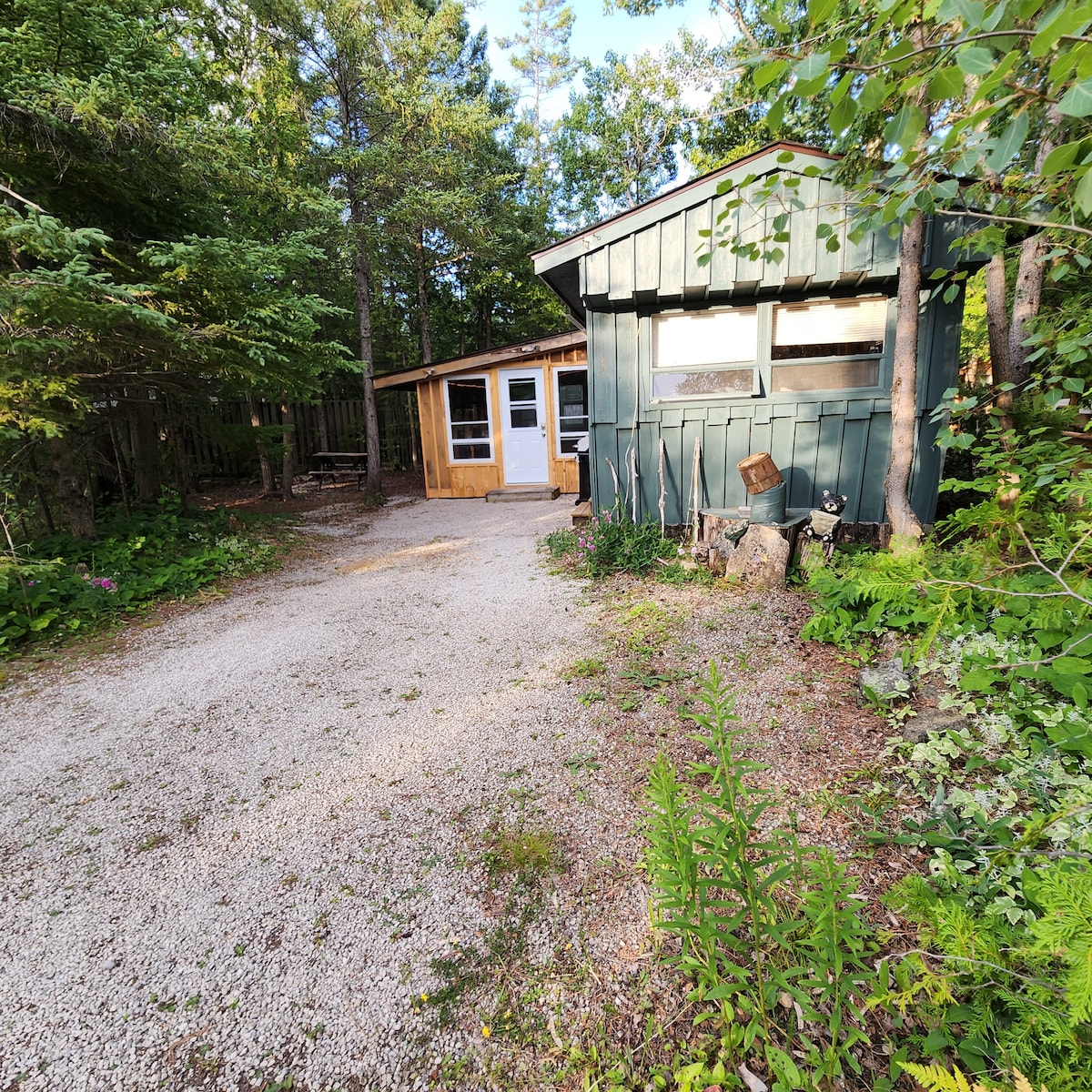 The exterior of a green cabin is shown, accompanied by a wooden entrance area. Surrounded by trees and foliage, a gravel pathway leads to the entrance. Sunlight filters through the leaves, casting gentle shadows on the ground.