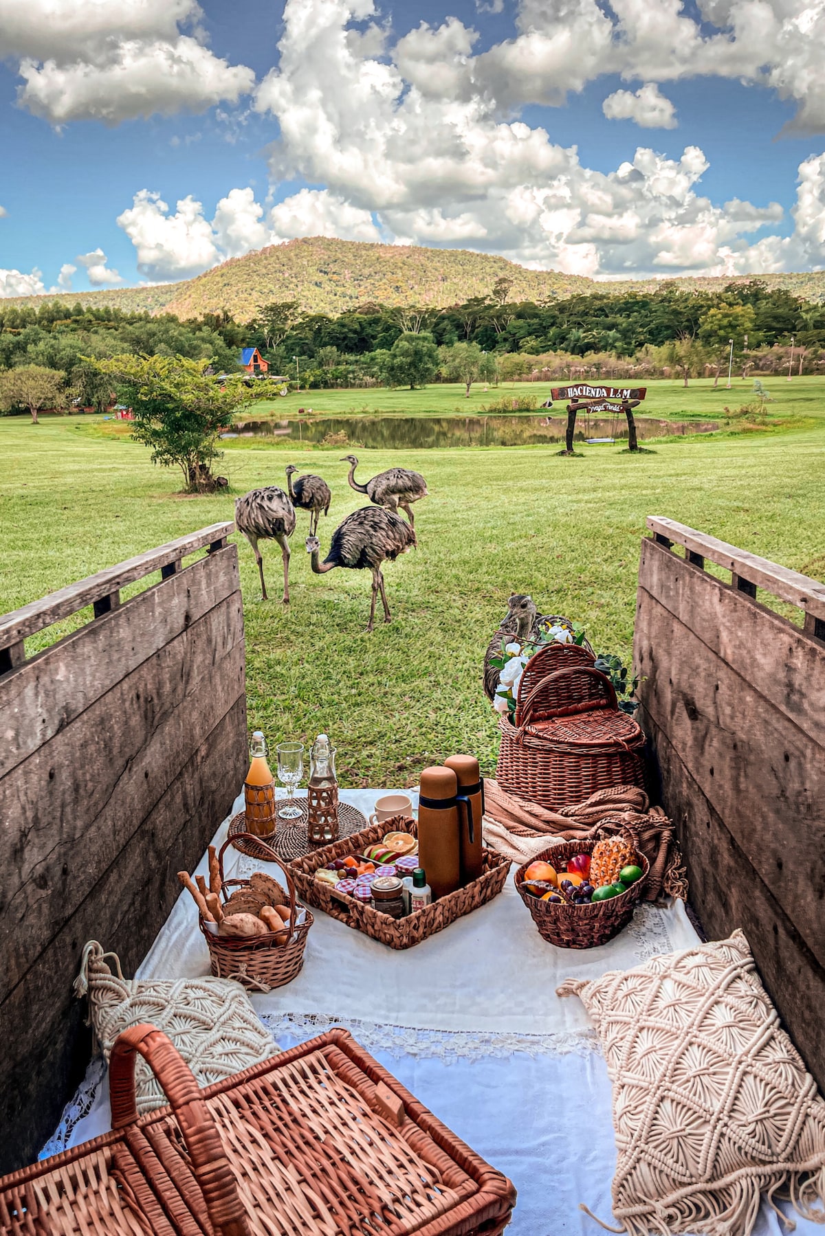 A picnic setup is displayed on a blanket, featuring woven baskets filled with a variety of snacks and beverages. In the background, a grassy landscape is visible, with a mountain and clouds in the sky. Several ostriches can be seen grazing nearby.