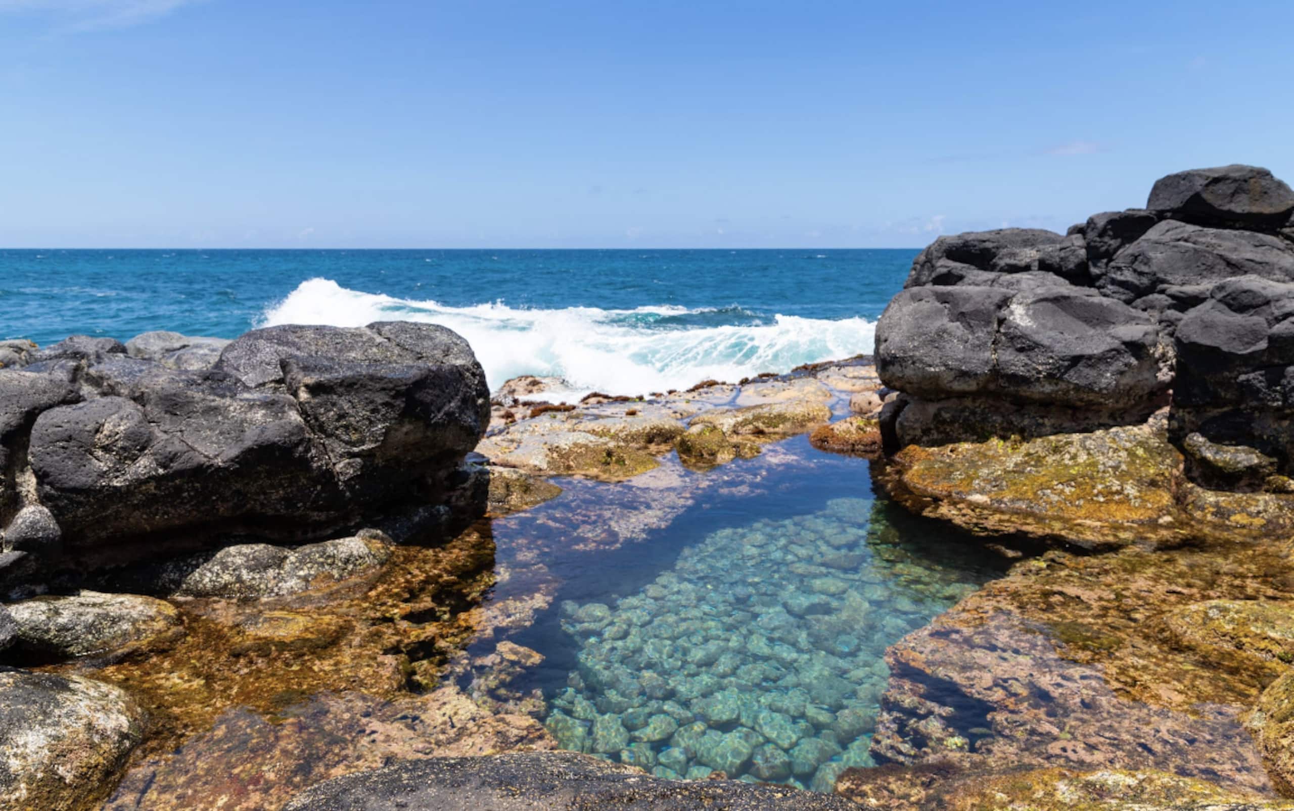 Condo in Princeville · ★5.0 · 1 bedroom · 2 beds · 1 bath - Image 20