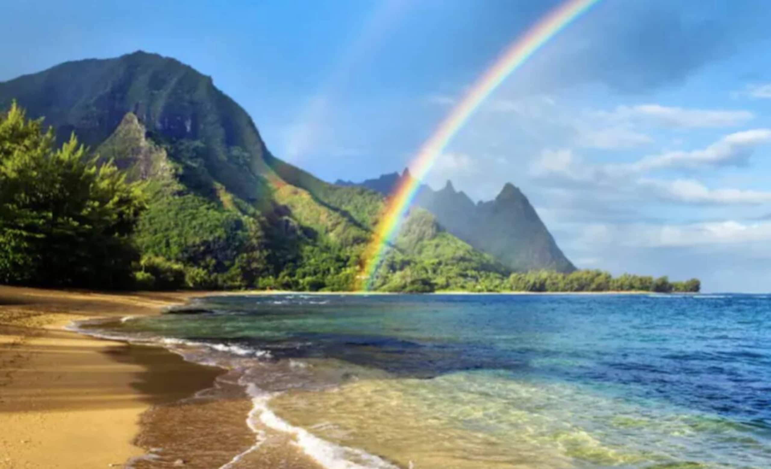 Condo in Princeville · ★5.0 · 1 bedroom · 2 beds · 1 bath - Image 3