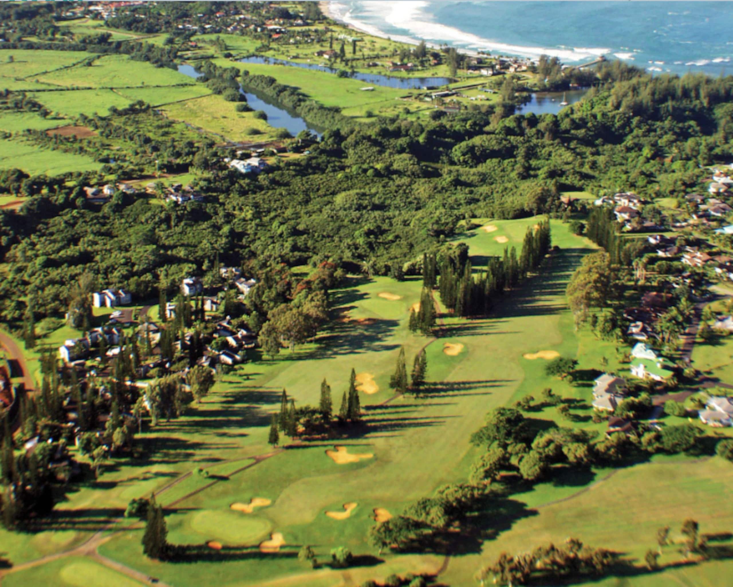 Condo in Princeville · ★5.0 · 1 bedroom · 2 beds · 1 bath - Image 19