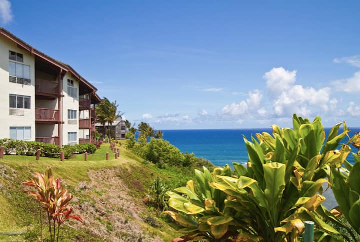 *Shear-water* Resort 3 Bedroom Pres Ocean View! - Kauai, HI