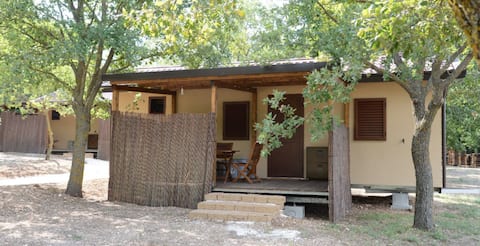 Among the leaves – Ofena