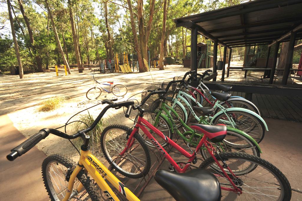 A line of colorful bicycles is parked on a paved area, featuring shades of red, green, and yellow. The background includes a natural landscape with trees and a play area equipped with playground equipment, demonstrating an inviting outdoor space for families.
