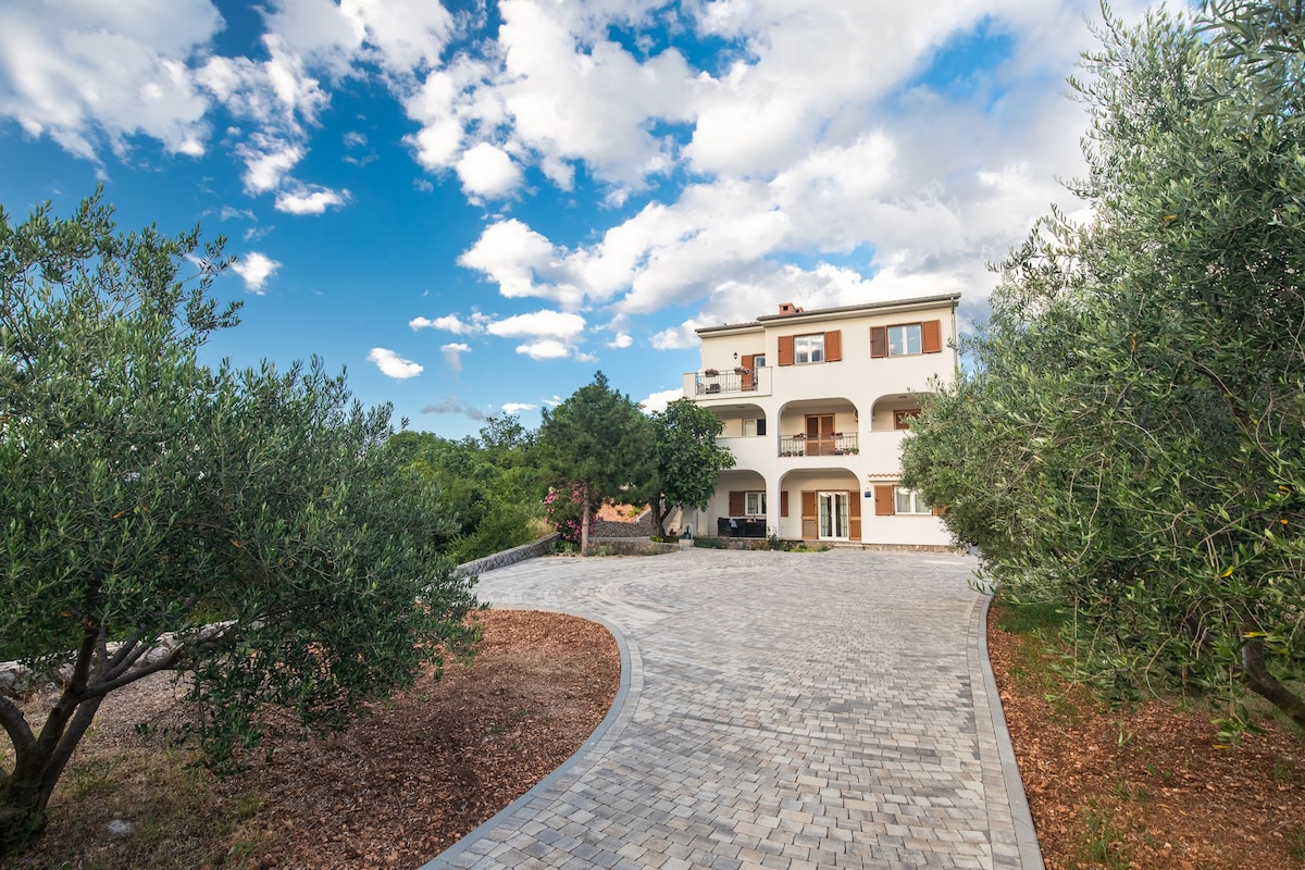 A serene exterior view features a modern building surrounded by greenery. A paved driveway winds up to the entrance, bordered by olive trees. The blue sky is dotted with clouds, creating a peaceful ambiance.