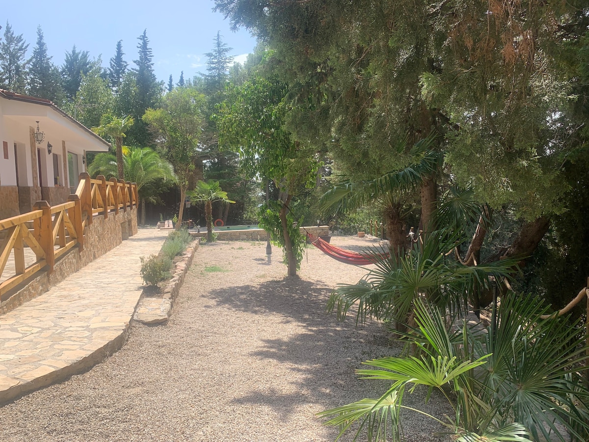 The outdoor area features a spacious garden surrounded by trees and lush vegetation. A hammock is positioned between the trees, providing a relaxing spot. The gravel pathway leads towards a pool area, enhancing the natural ambiance of the setting.