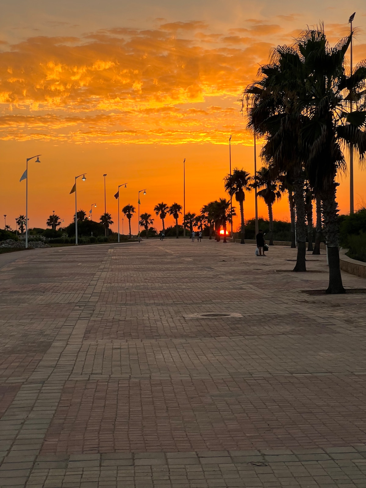 A wide pathway lined with palm trees extends towards a vibrant sunset, with the sun visible on the horizon. Street lamps are positioned along the walkway, casting soft light as the warm hues of orange and yellow fill the sky.