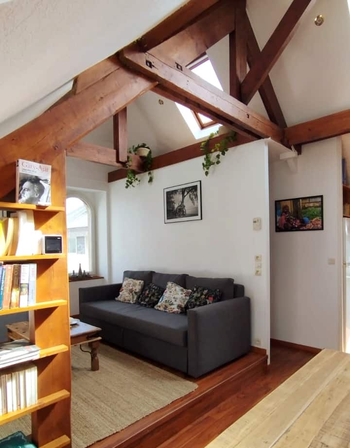 Appartement En Plein Cœur De Ville - Perros-Guirec