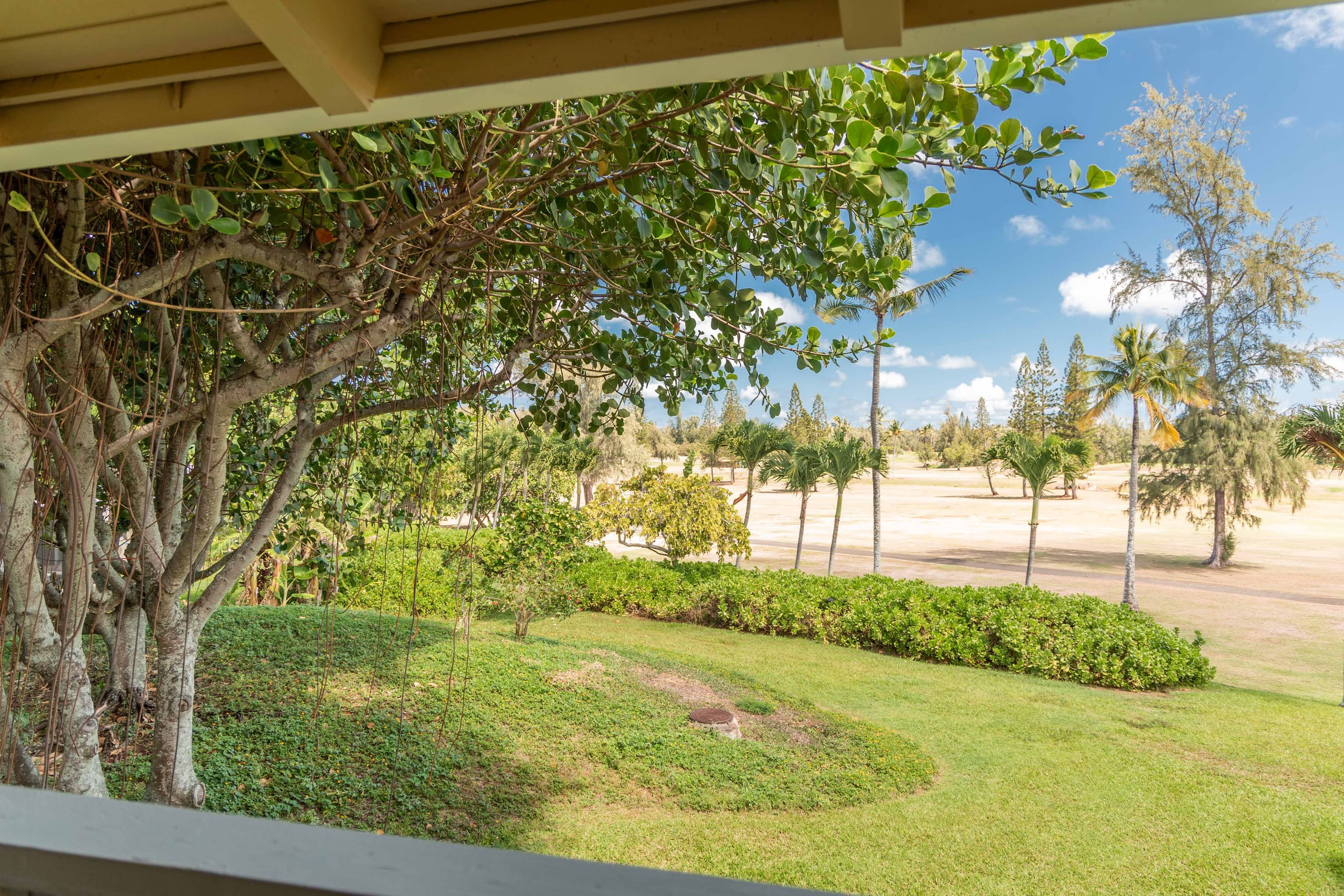Condo in Kahuku · ★4.92 · 2 bedrooms · 2 beds · 1 shared bath - Image 22