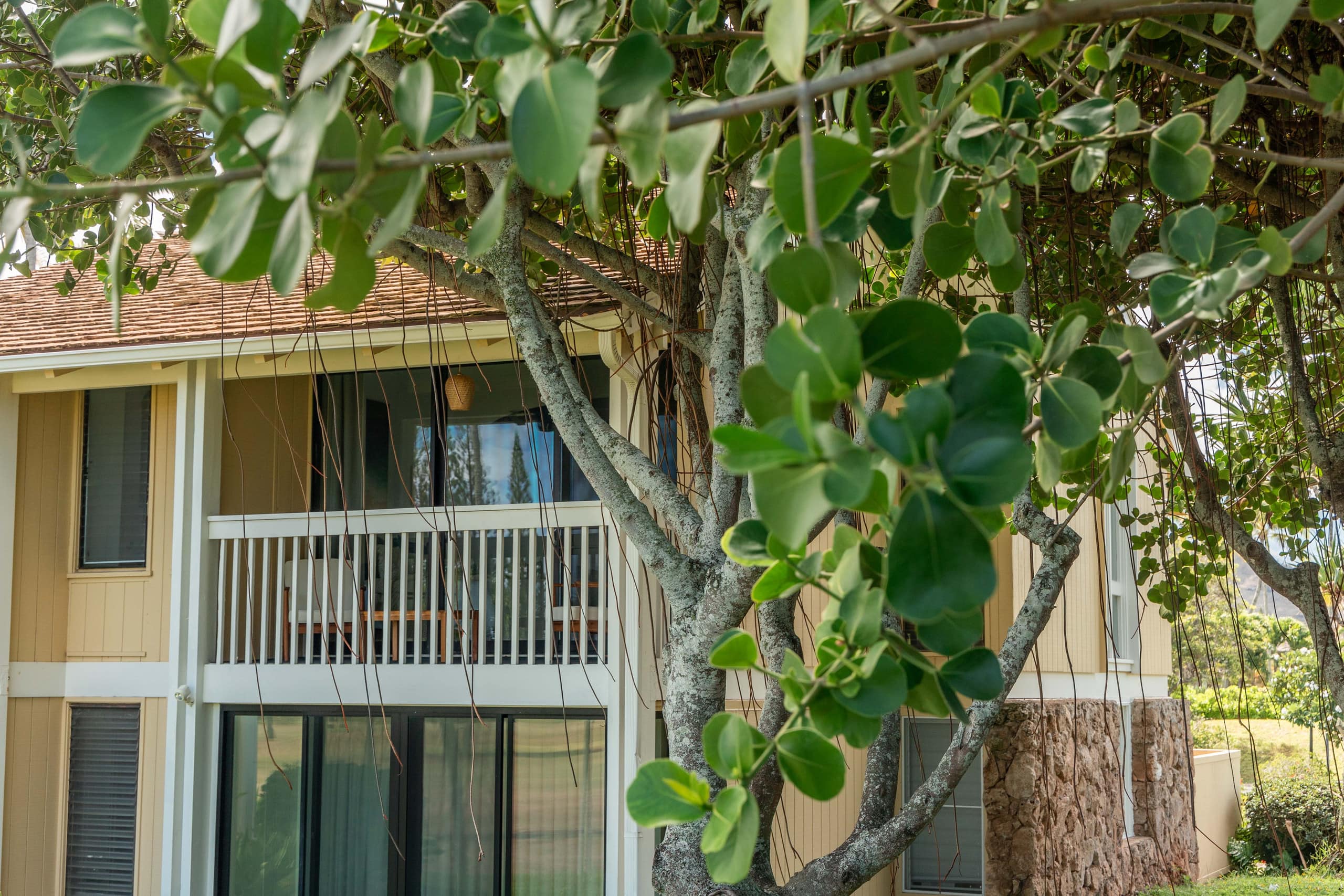 Condo in Kahuku · ★4.92 · 2 bedrooms · 2 beds · 1 shared bath - Image 25