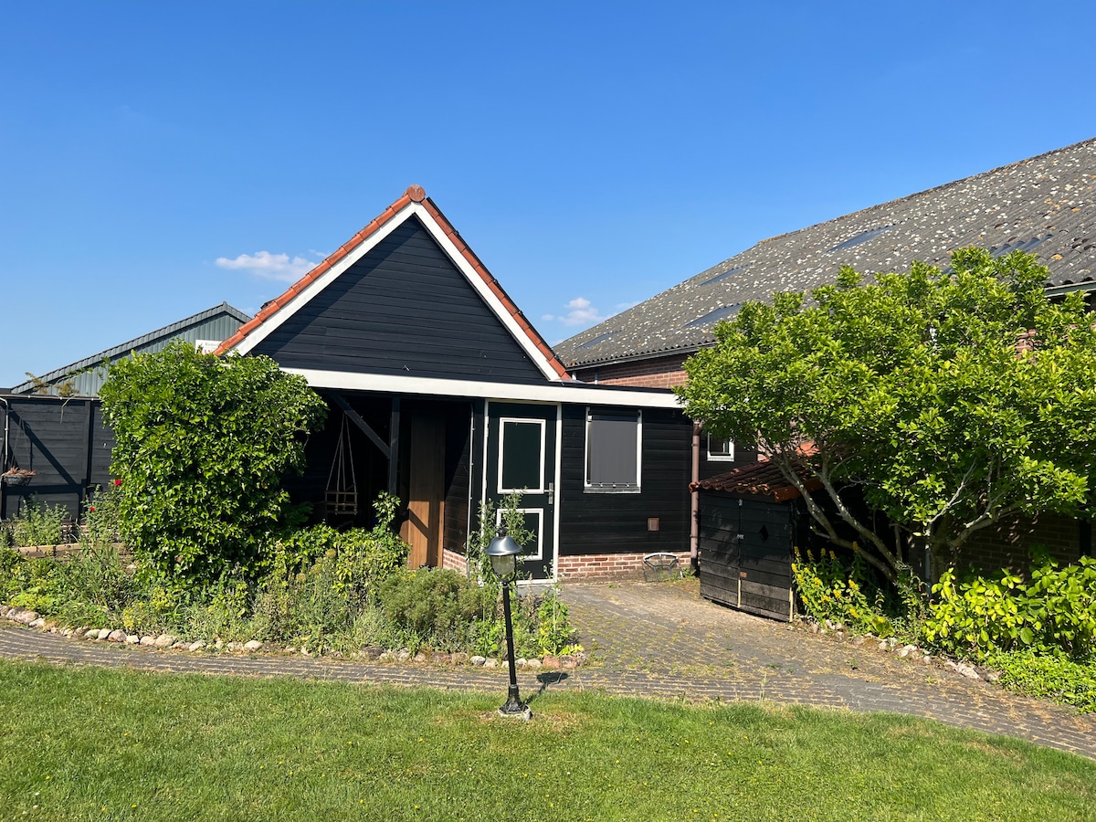 A charming black house features a white-trimmed roof and a welcoming entrance. Surrounding greenery includes a bush and neatly manicured grass. A stone pathway leads to the front door, creating an inviting approach to the home.